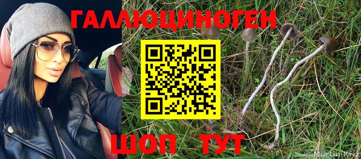 Галлюциногенные грибы MAGIC MUSHROOMS Горно-Алтайск