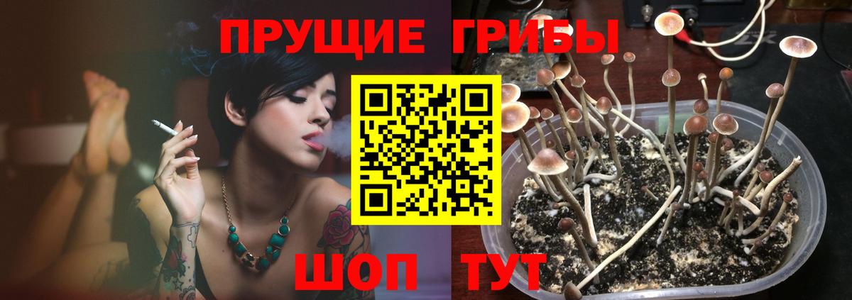 Горно-Алтайск  Псилоцибиновые грибы мухоморы  Псилоцибиновые грибы прущие грибы  Вход с VPN 